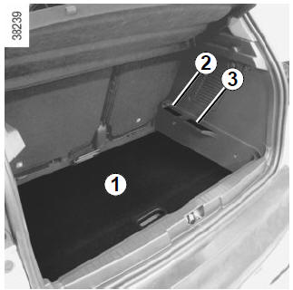 Renault Captur. Ablageposition